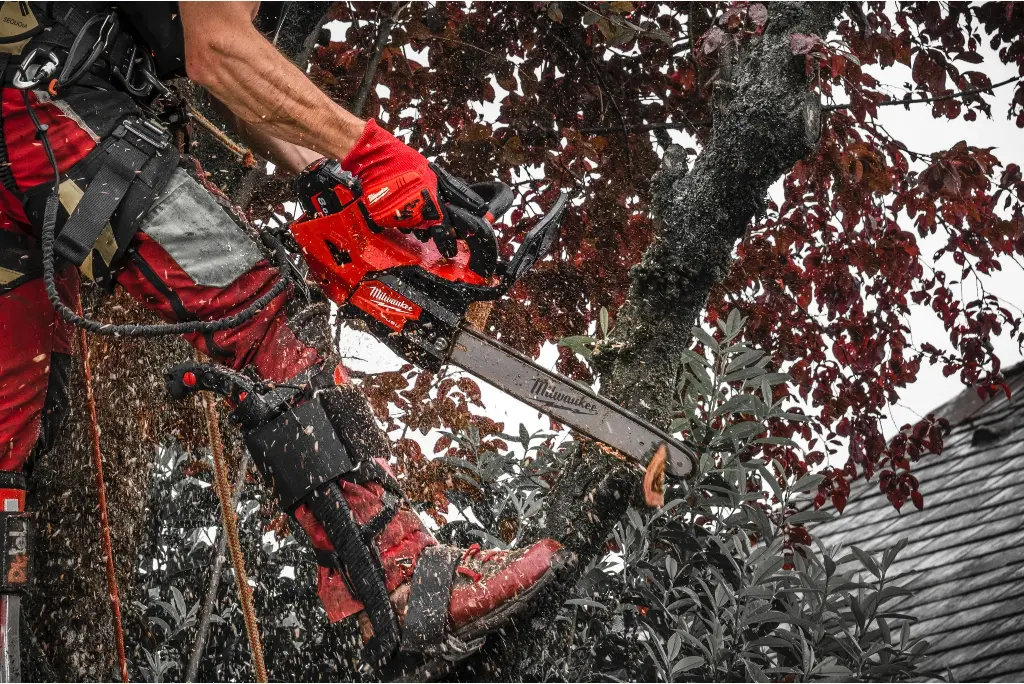 MILWAUKEE M18 FTHCHS30-0 - Tronçonneuse FUEL d'élagage 18V, sans batterie ni chargeur, guide de 30cm
